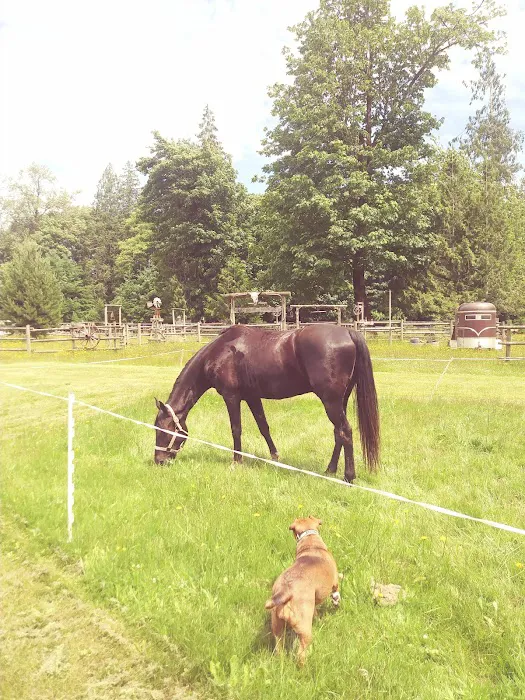 Cowboy Campsite Private Equine/Membership Picture 10