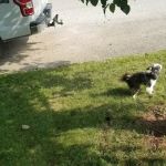 Mountainview Mobile Home Park