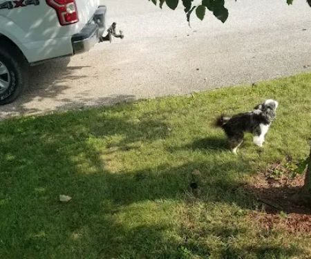 Mountainview Mobile Home Park