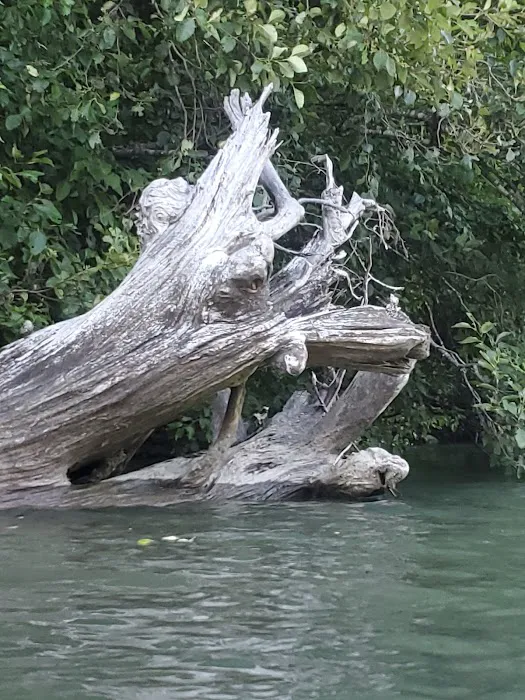 Gorge Lake Campground Picture 7