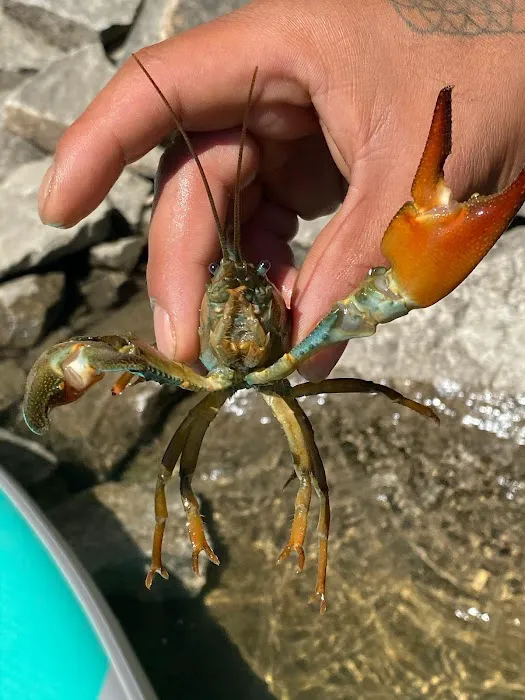 Thunder Point Campground Picture 6