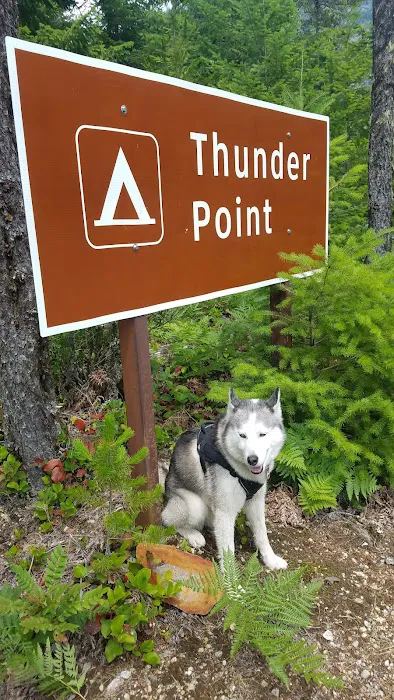 Thunder Point Campground Picture 4