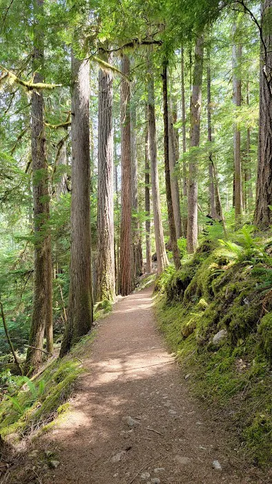 Colonial Creek South Campground Picture 4