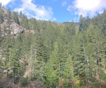 Hidden Cove Campground