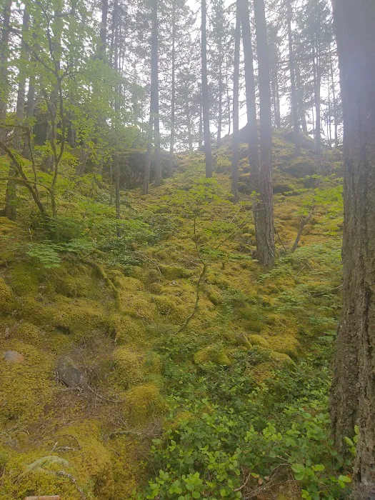 Hidden Cove Campground Picture 6