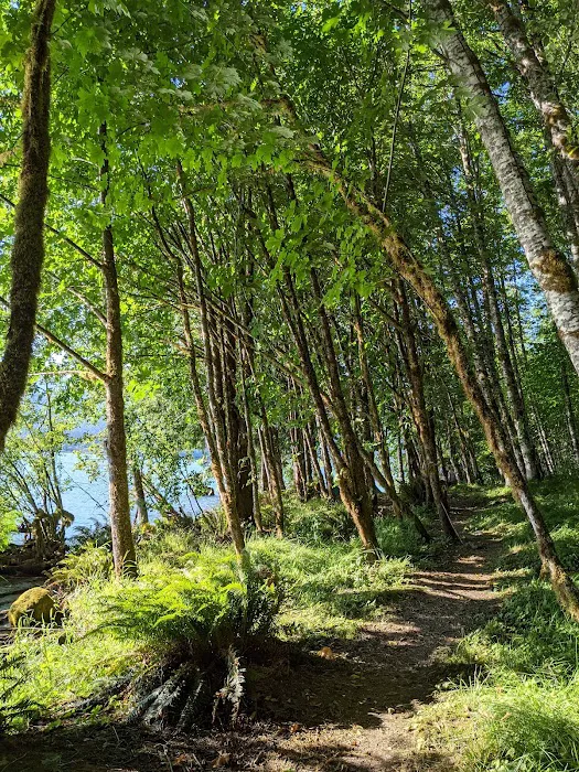 Boulder Creek Campground Picture 1