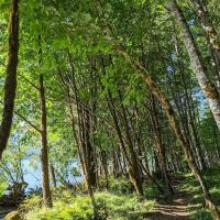 Boulder Creek Campground ico