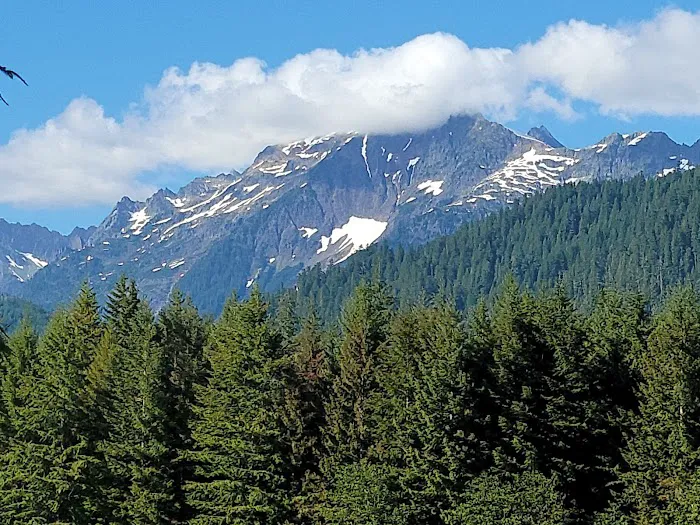 Panorama Point Campground Picture 5