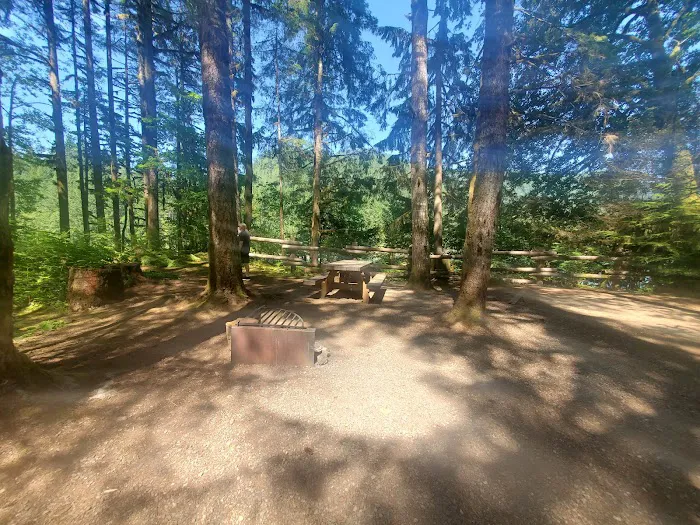 Swift Creek Campground Picture 3