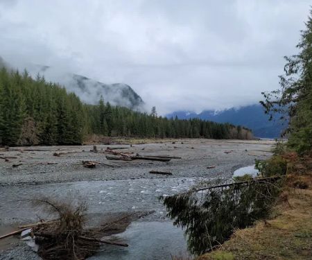 Swift Creek Campground