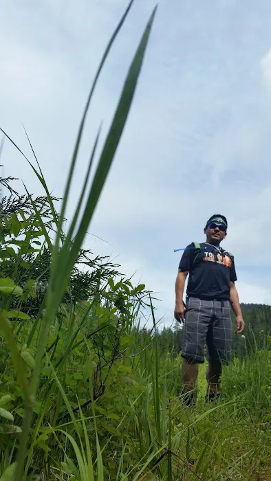 Mink Lake Picture 10