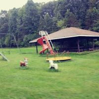 Pleasant View Mobile Home Park ico