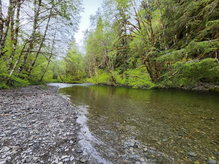 Sol Duc Campground Picture 6