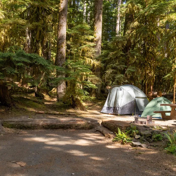 Sol Duc Campground Picture 3