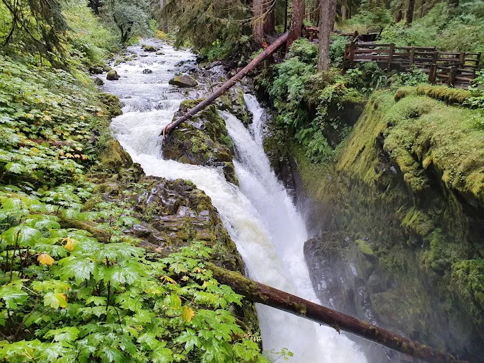 Sol Duc Campground Picture 9