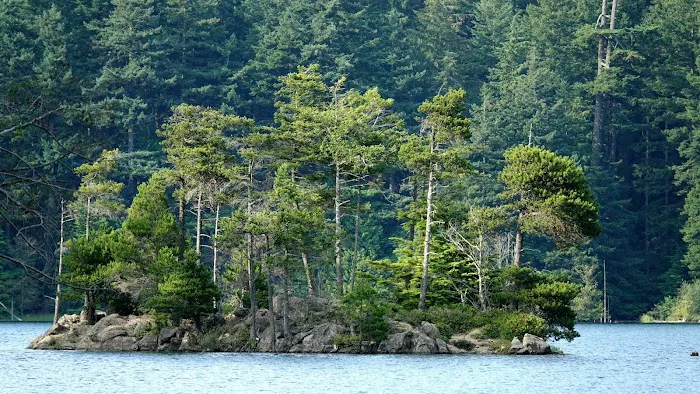 Mountain Lake Group Campground Picture 4
