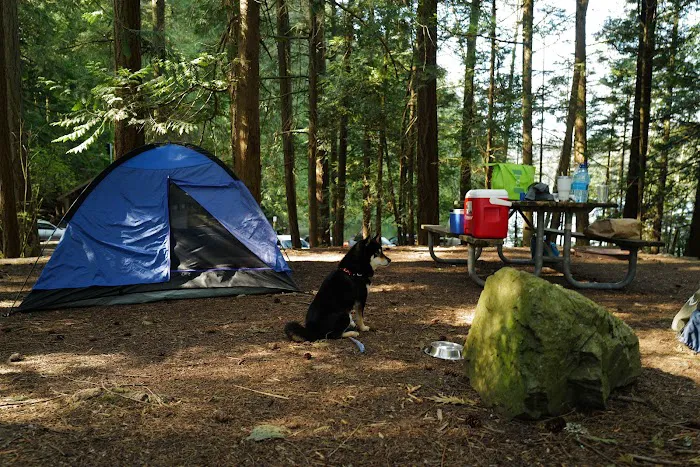 Mountain Lake Group Campground Picture 1
