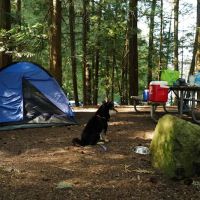 Mountain Lake Group Campground ico