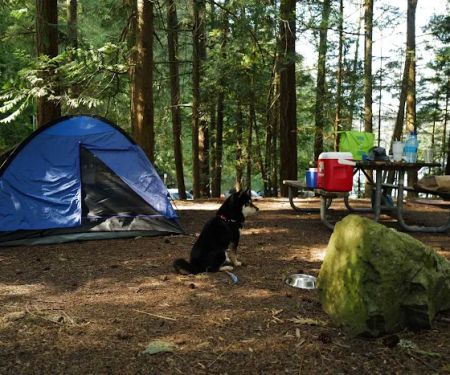 Mountain Lake Group Campground