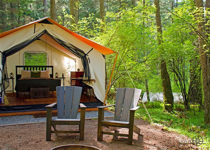 LEANTO | Camp Orcas Picture 6