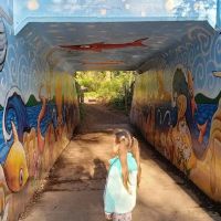 Lakeview Village ico