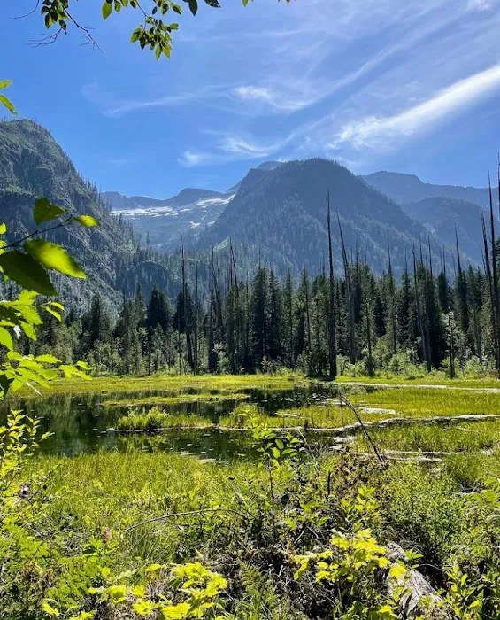 Thirtynine Mile Campground Picture 1