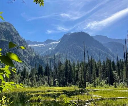 Thirtynine Mile Campground