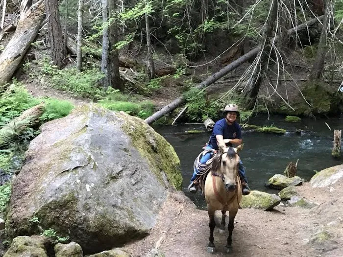 Horse Camp: Mt. Adams Picture 5