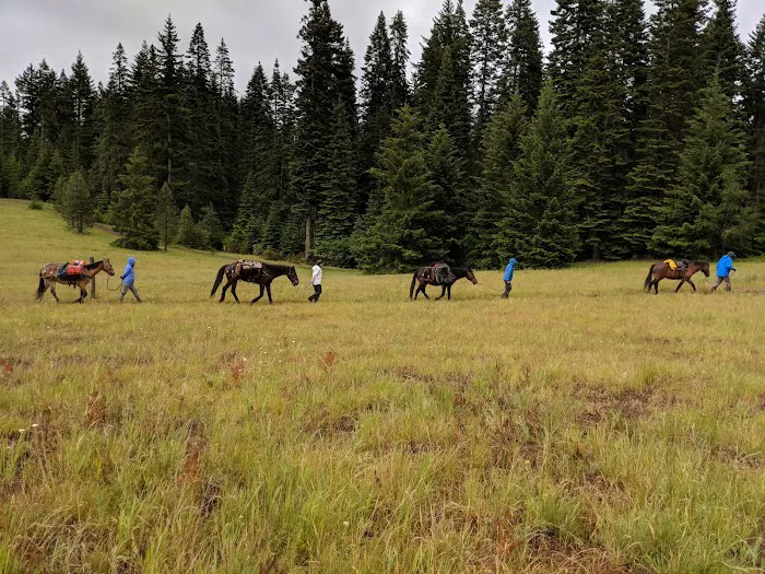 Horse Camp: Mt. Adams Picture 9