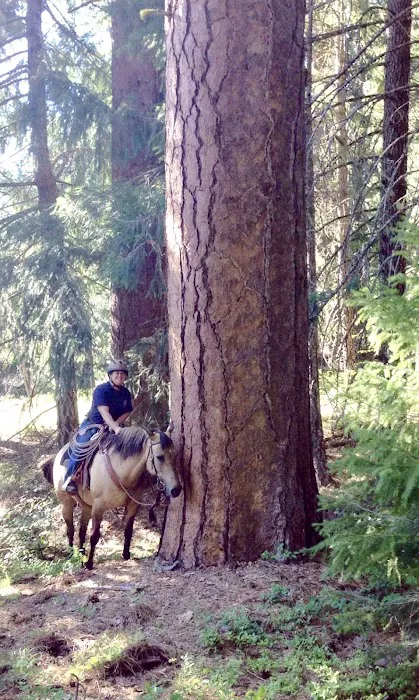 Horse Camp: Mt. Adams Picture 6