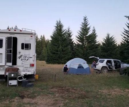 Horse Camp: Mt. Adams