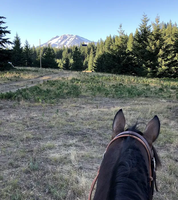 Horse Camp: Mt. Adams Picture 10