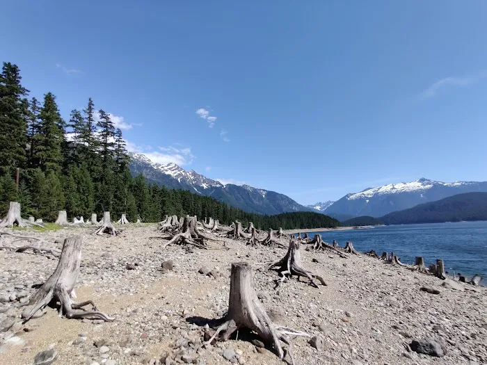 Rainbow Point Campground Picture 3
