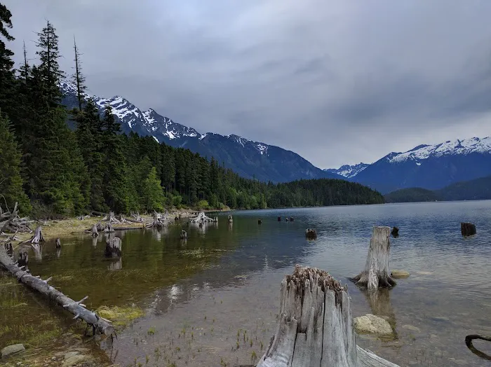 Rainbow Point Campground Picture 10