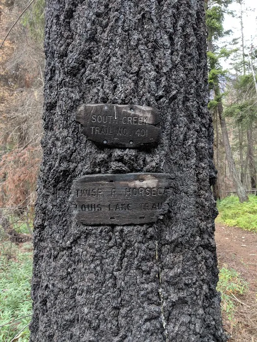 South Creek Campground Picture 3
