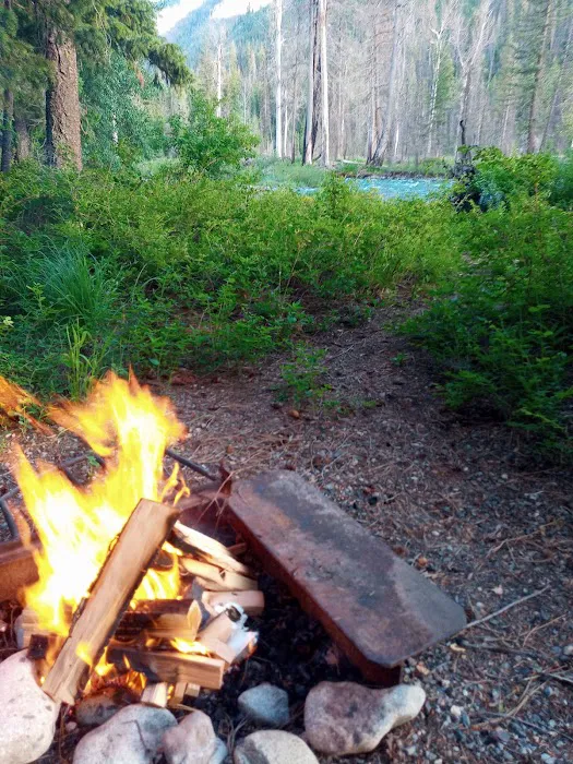 Poplar Flat Campground USA Picture 4