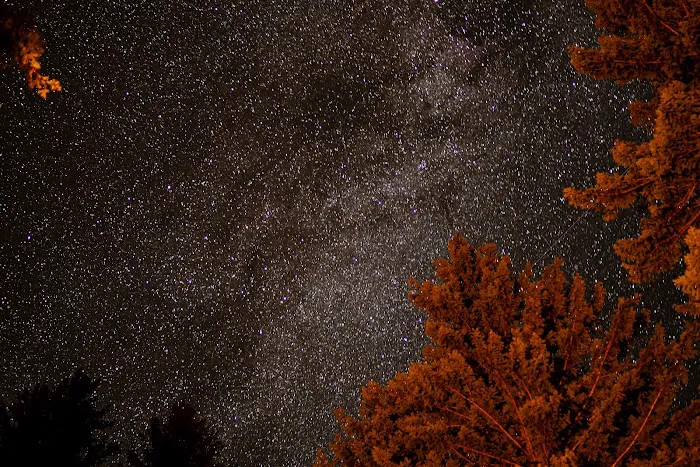 Poplar Flat Campground USA Picture 6