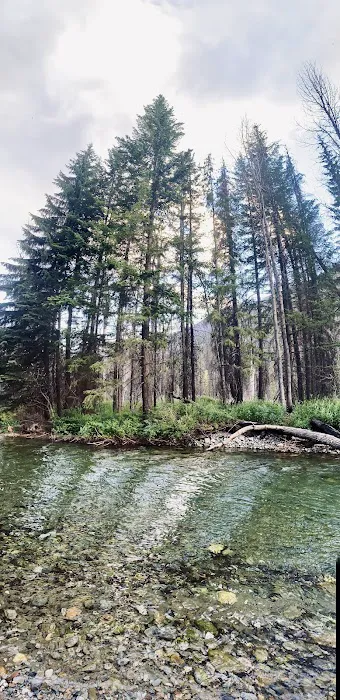 Poplar Flat Campground USA Picture 5