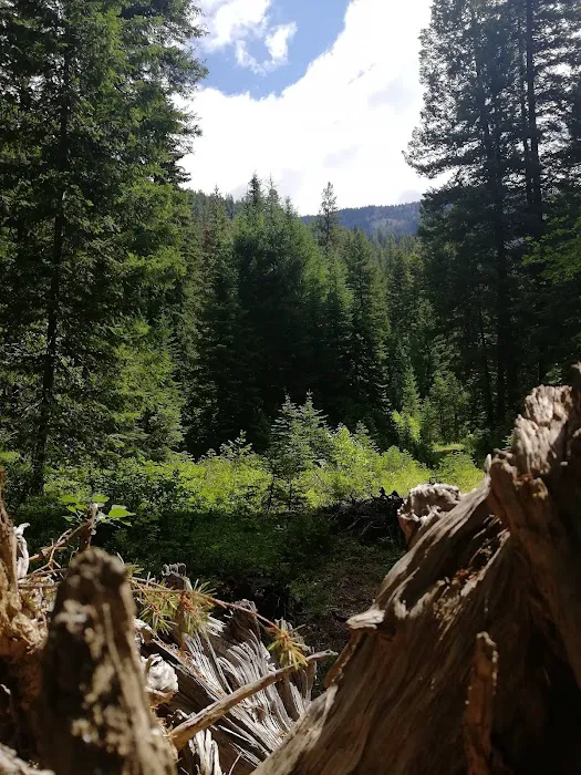 Poplar Flat Campground USA Picture 2