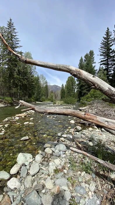 Poplar Flat Campground USA Picture 7