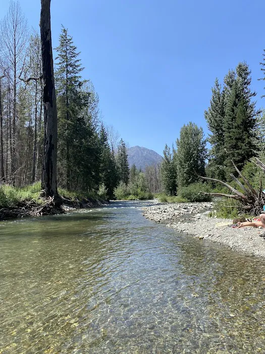 Poplar Flat Campground USA Picture 10