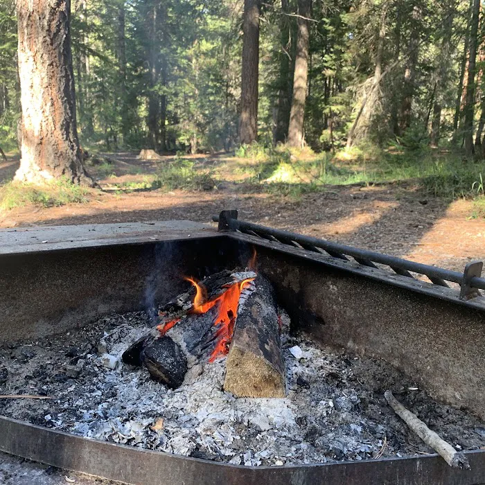 Poplar Flat Campground USA Picture 9