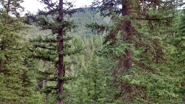 Klipchuck Campground Picture 5