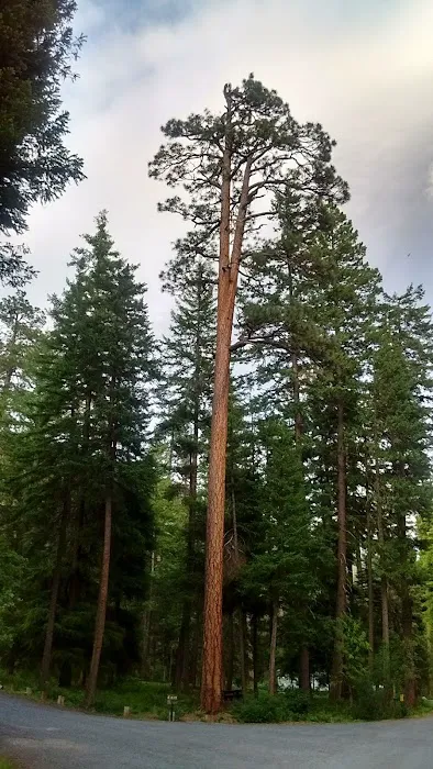 Klipchuck Campground Picture 9