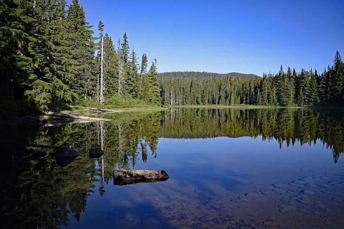 Campground: Forlorn Lakes Picture 4