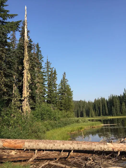 Campground: Forlorn Lakes Picture 5