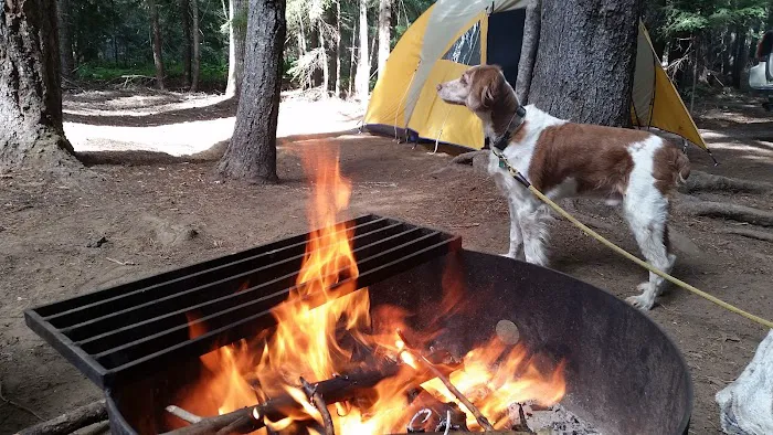 Peterson Prairie Campground Picture 1