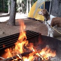 Peterson Prairie Campground ico