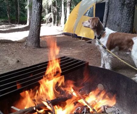 Peterson Prairie Campground