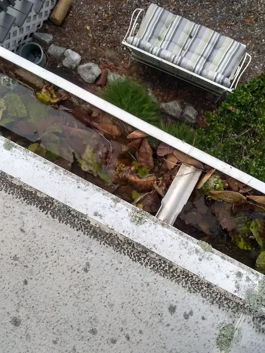 Meadowstone Park Picture 1